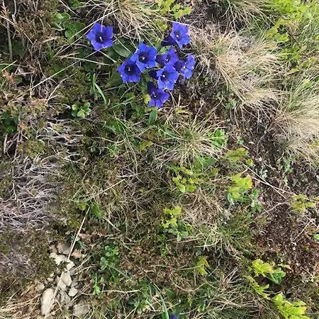 شقة Residenz Am Berg