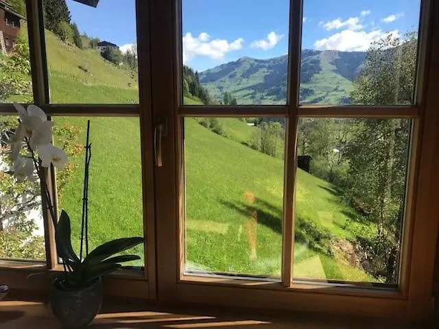 Apartament Residenz Am Berg *