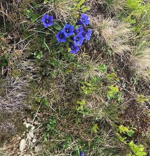 Apartament Residenz Am Berg